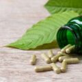 understanding-herbal-kratom-supplements