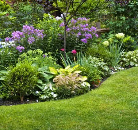 unlocking-your-gardens-full-potential-advanced-gardening-technique